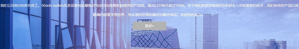 洛壹網站案例