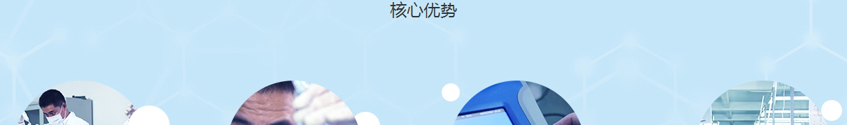 洛壹網絡網頁設計