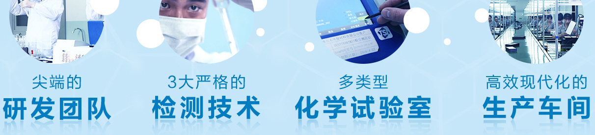 洛壹網絡網頁設計
