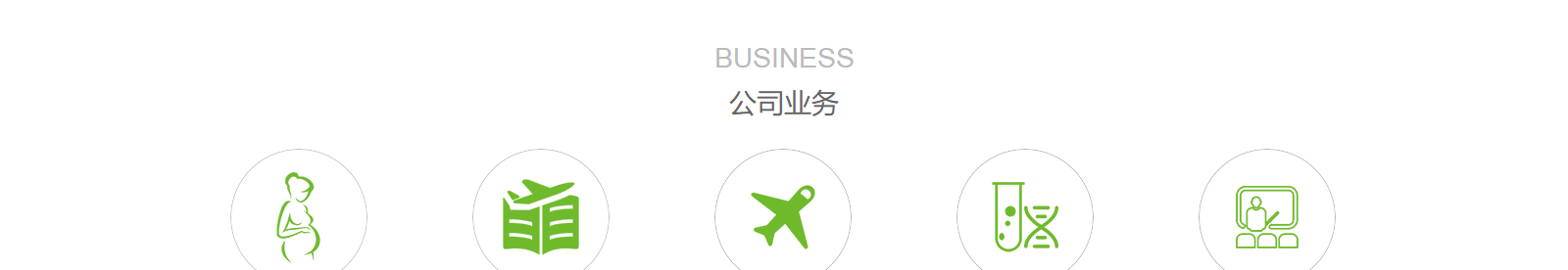 洛壹網絡網站案例