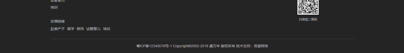 洛壹網絡網站案例