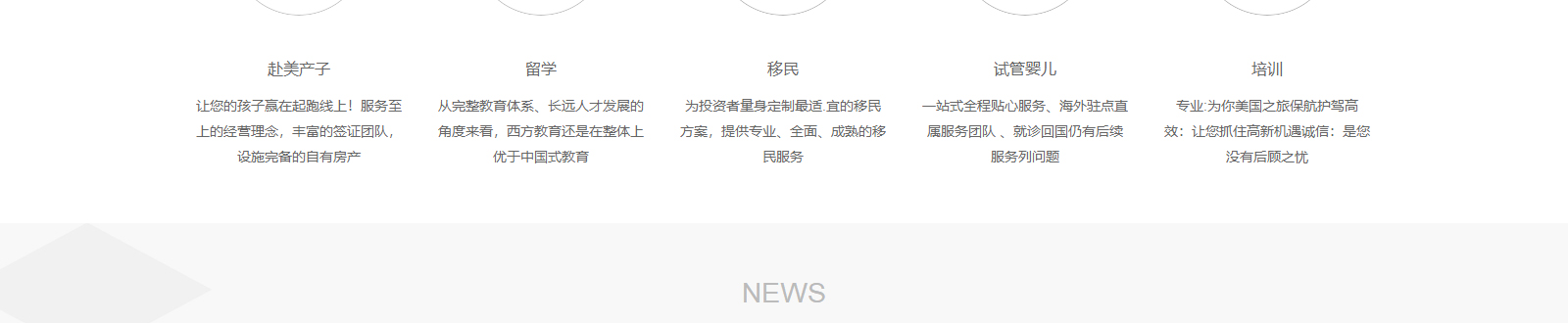 洛壹網絡網站案例