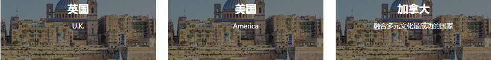 洛壹網絡網站案例