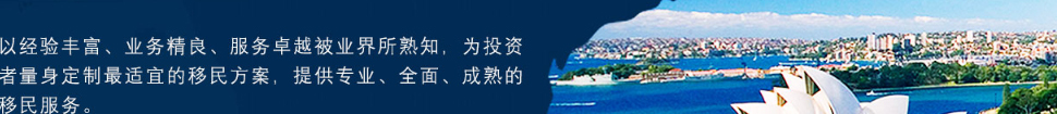 洛壹網絡網站案例