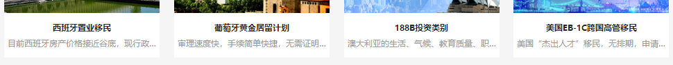 洛壹網絡網站案例