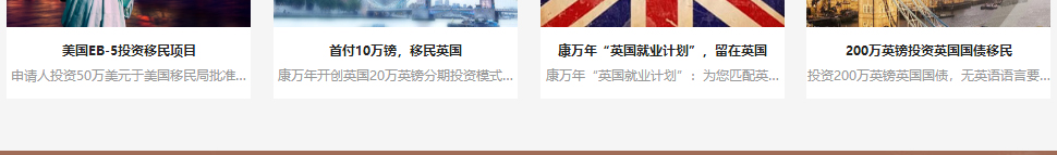 洛壹網絡網站案例