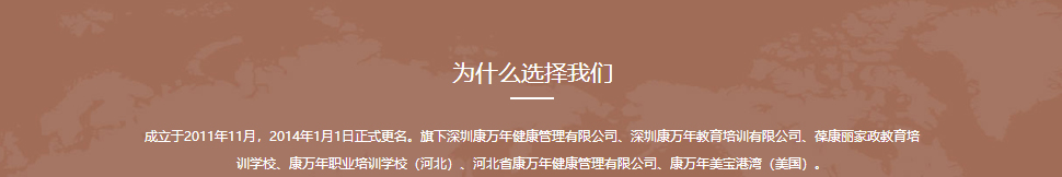 洛壹網絡網站案例