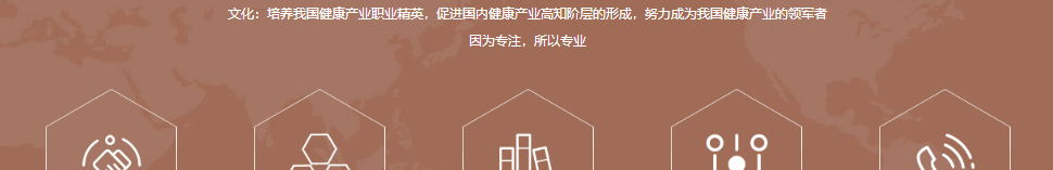 洛壹網絡網站案例