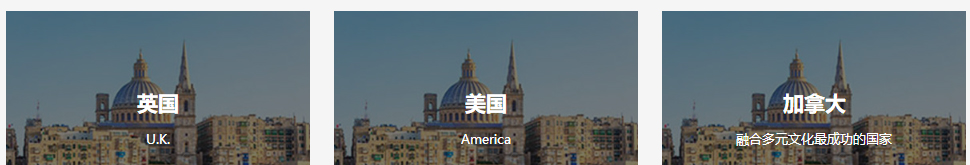 洛壹網絡網站案例