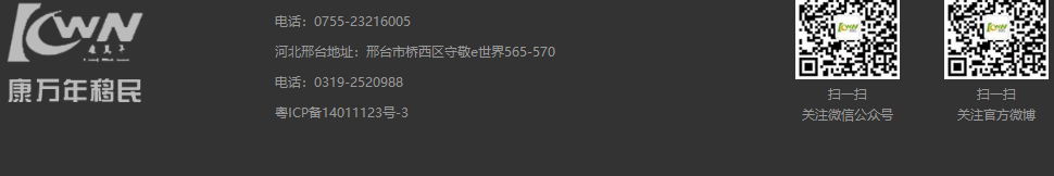 洛壹網絡網站案例