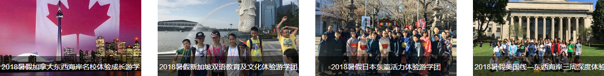 洛壹網絡網站案例