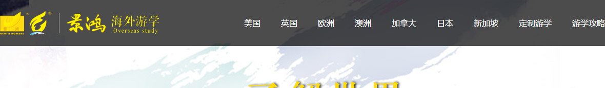 洛壹網絡網站案例