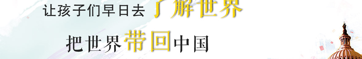 洛壹網絡網站案例