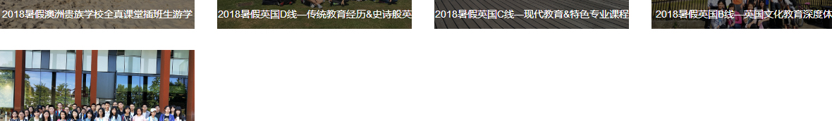洛壹網絡網站案例