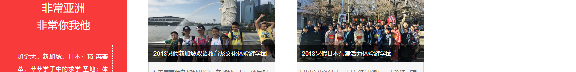 洛壹網絡網站案例