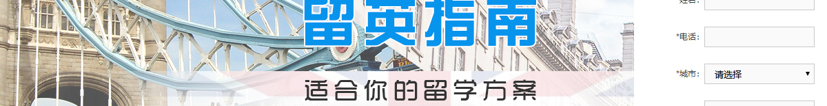 洛壹網絡網站案例