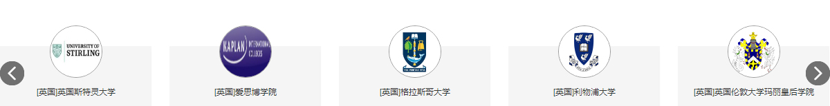 洛壹網絡網站案例