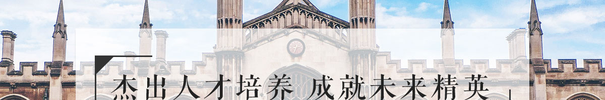 洛壹網絡網站案例