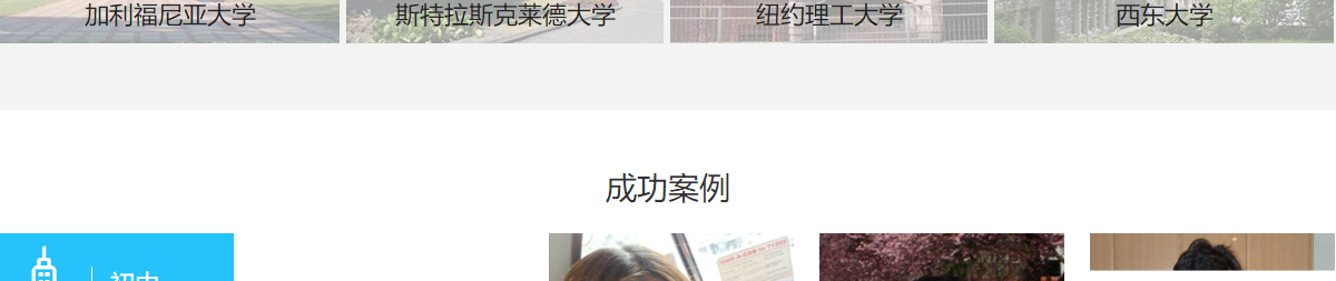洛壹網絡網站案例