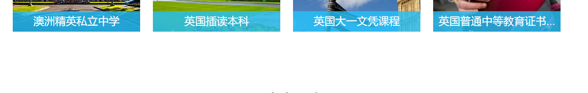 洛壹網絡網站案例