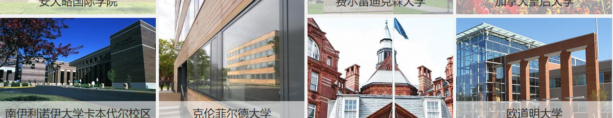 洛壹網絡網站案例