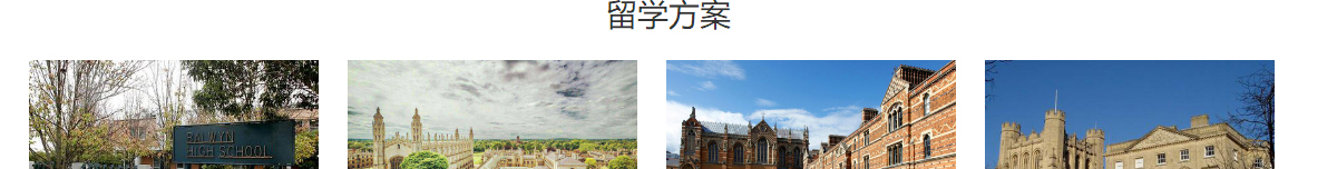 洛壹網絡網站案例