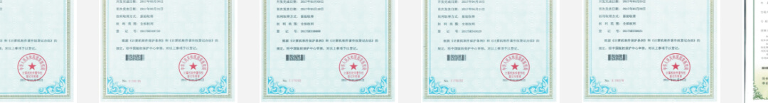 洛壹網絡網站案例