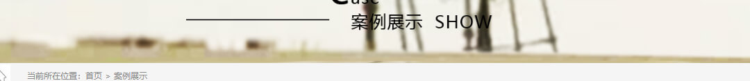 洛壹網絡網站案例