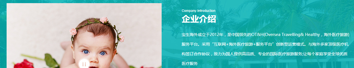 寶生海外頁面設(shè)計效果圖