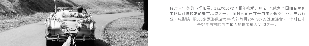 百年禧愛頁面設計效果圖