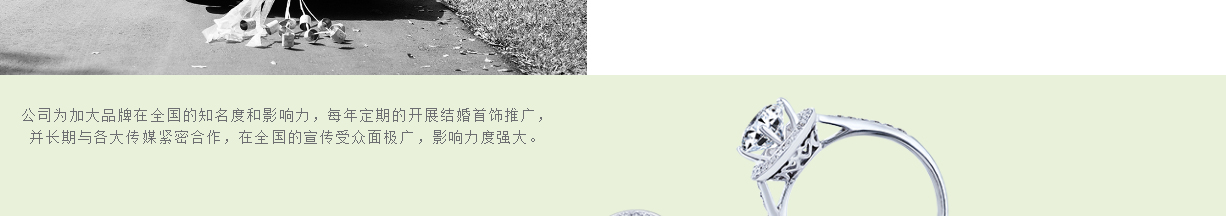 百年禧愛頁面設計效果圖