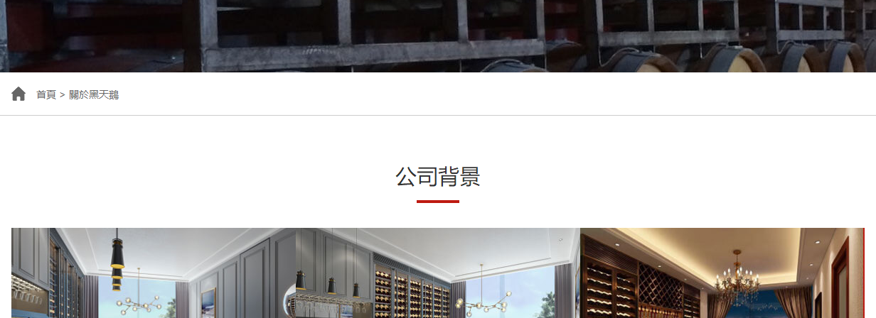 黑天鵝頁面設計效果圖