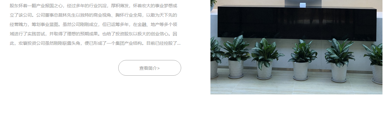 宏寰頁面設計效果圖