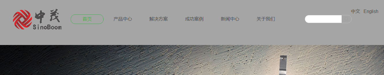洛壹網(wǎng)絡網(wǎng)站案例