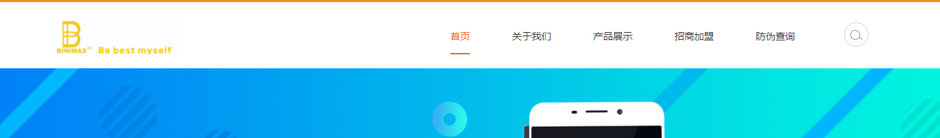 洛壹網絡網站案例