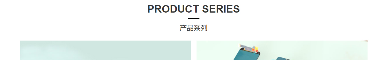 洛壹網絡網站案例