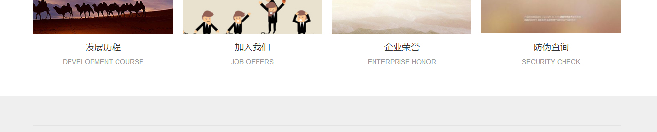 洛壹網絡網站案例