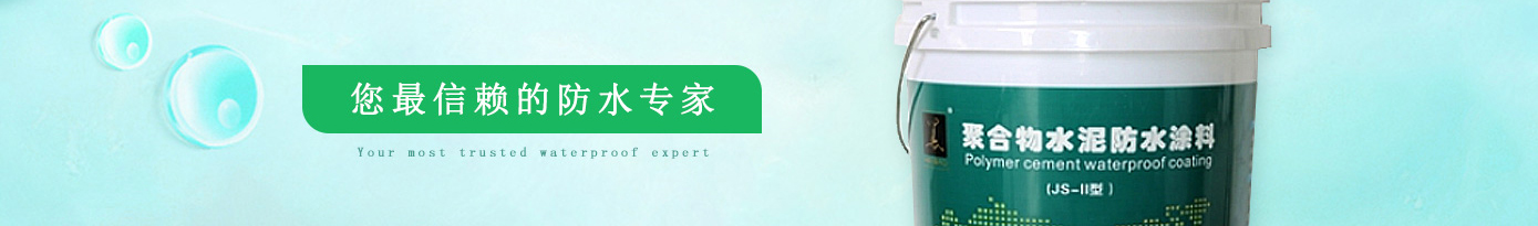 洛壹網絡網站案例