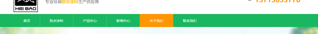 洛壹網絡網站案例