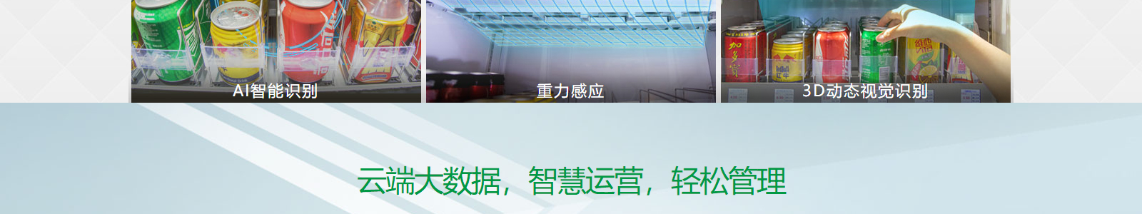 洛壹網(wǎng)絡(luò)網(wǎng)站案例