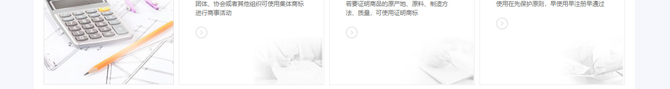 洛壹網絡網站案例