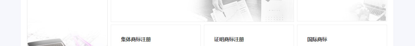 洛壹網絡網站案例