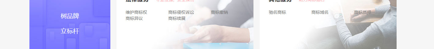洛壹網絡網站案例