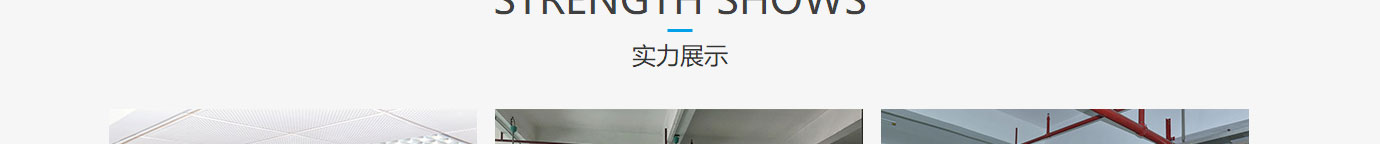 洛壹網絡網站案例
