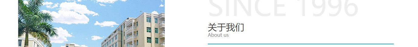 洛壹網絡網站案例