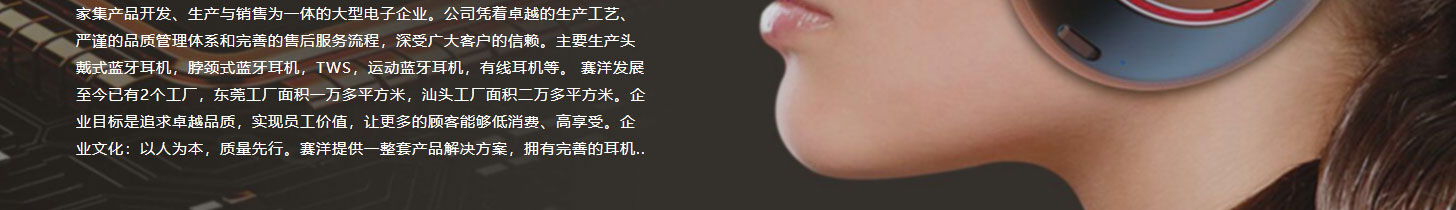 洛壹網絡網站案例