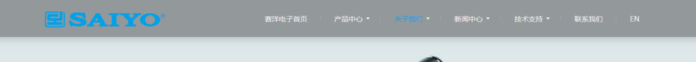 洛壹網絡網站案例