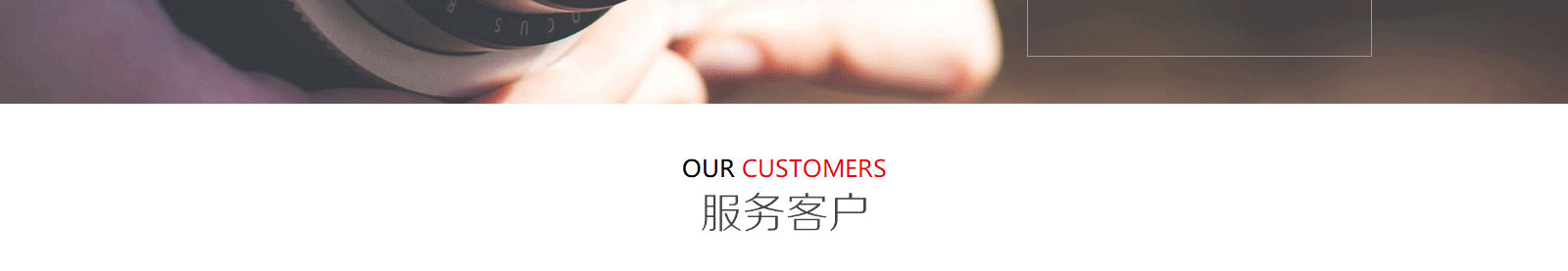 洛壹網絡網站案例