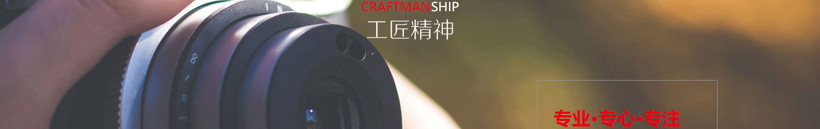 洛壹網絡網站案例