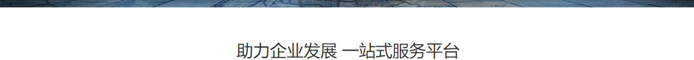 洛壹網絡網站案例